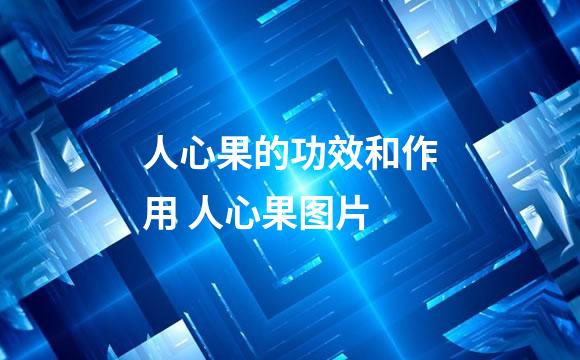 人心果的功效和作用 人心果图片